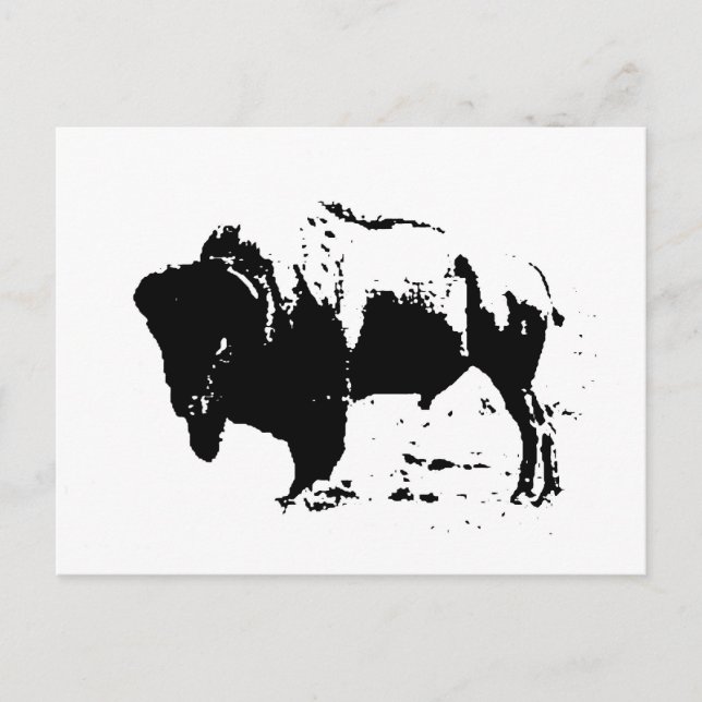 Pop Art Black & White Buffalo Silhouette Vykort (Framsida)