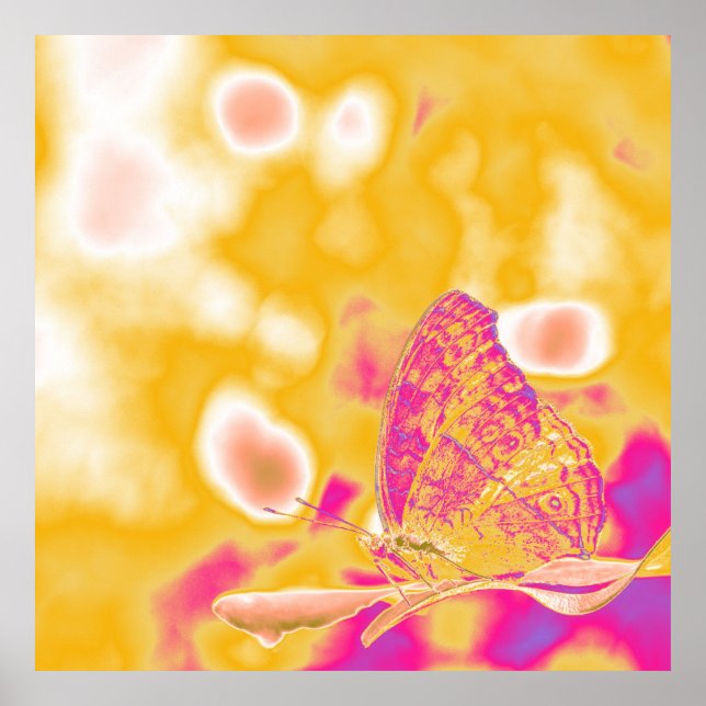 Pop Art Butterfly i löv Poster (Framsidan)