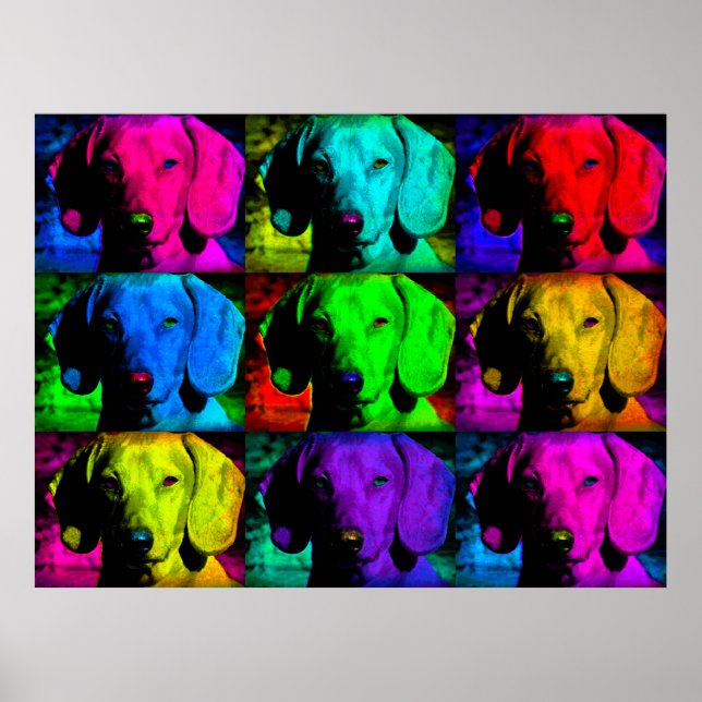 Pop Art Dachshund Doxie Sweet Ansikte Soulful Ögon Poster (Framsidan)