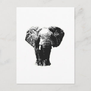 Pop Art Elephant Vykort