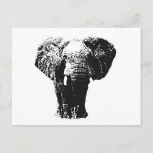 Pop Art Elephant Vykort