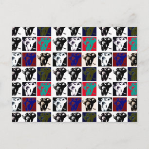 Pop Art Elephants Vykort