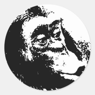 Pop Art Funny Chimpanzee Runt Klistermärke