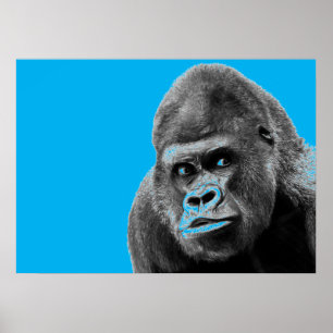 Pop Art Gorilla Blue Grått Poster
