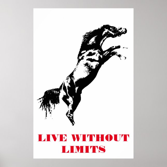 Pop Art Horse Motivational Artwork Black White Poster (Framsidan)