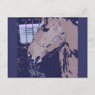 Pop Art Horse Vykort