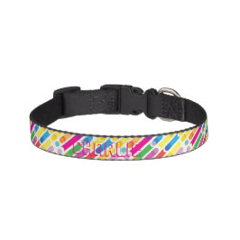 Pop Art i Monogram Rainbow Diagonal Linjer Mönster Halsband Husdjur