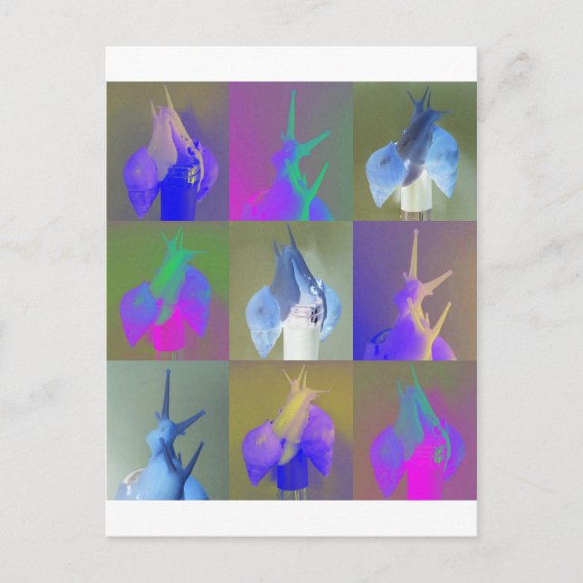 Pop Art i snigel Vykort (Framsida)