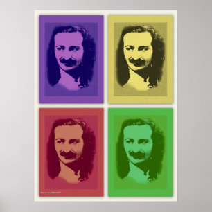 Pop Art Meher Baba Porträtt Poster Skriv ut
