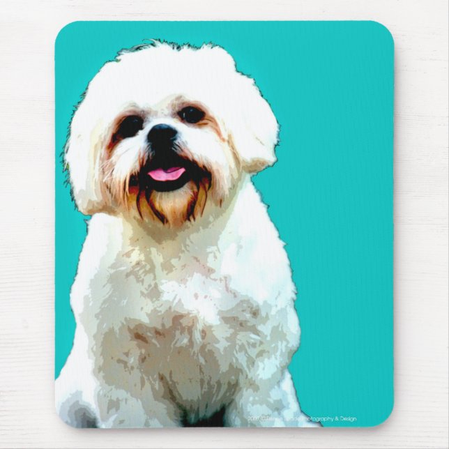 Pop ART-MR. Woofers Musmatta (Framsidan)