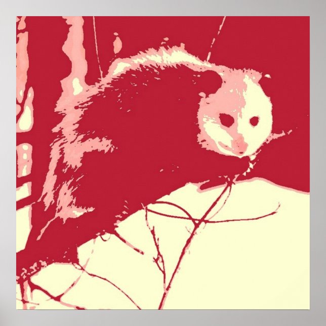 Pop Art Opossum Poster (Framsidan)