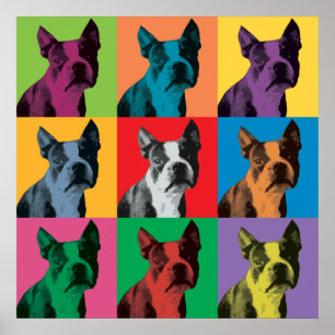 Pop-Art-Poster för Boston Terrier Poster