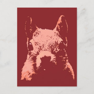 Pop Art Squirrel Vykort
