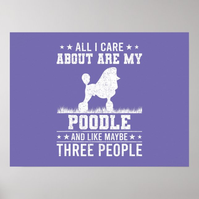 Pop Boxer Art färg Poster (Framsidan)