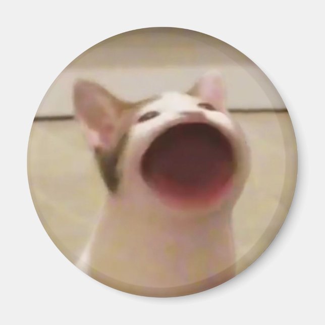 Pop Cat Magnet (Framsidan)