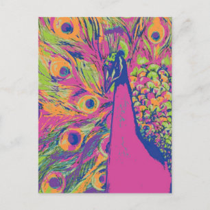 Pop Peacock Vykort