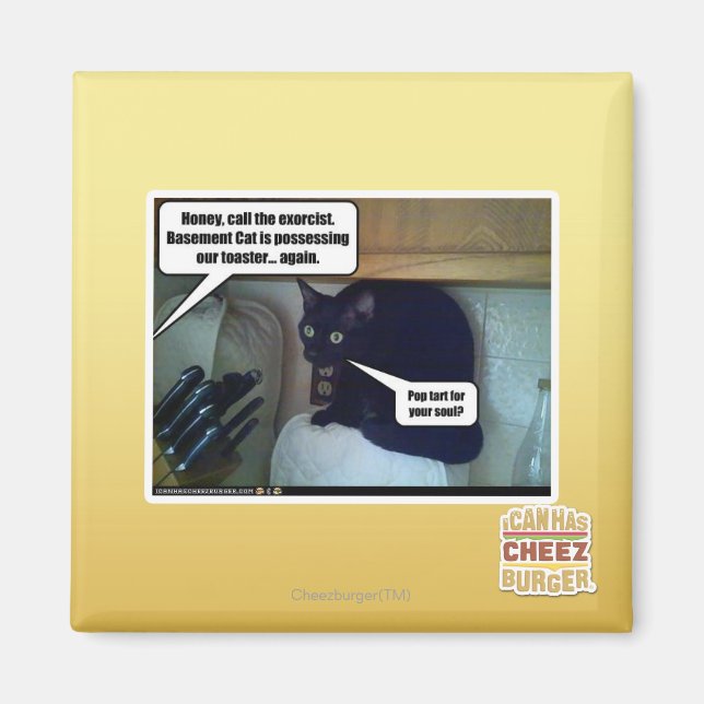 Pop Tart för din själ? Magnet (Framsidan)