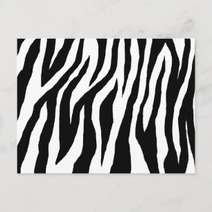 Pop Zebra Vykort