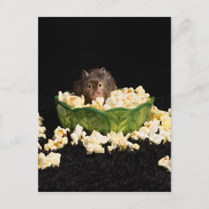 Popcorn älskare vykort