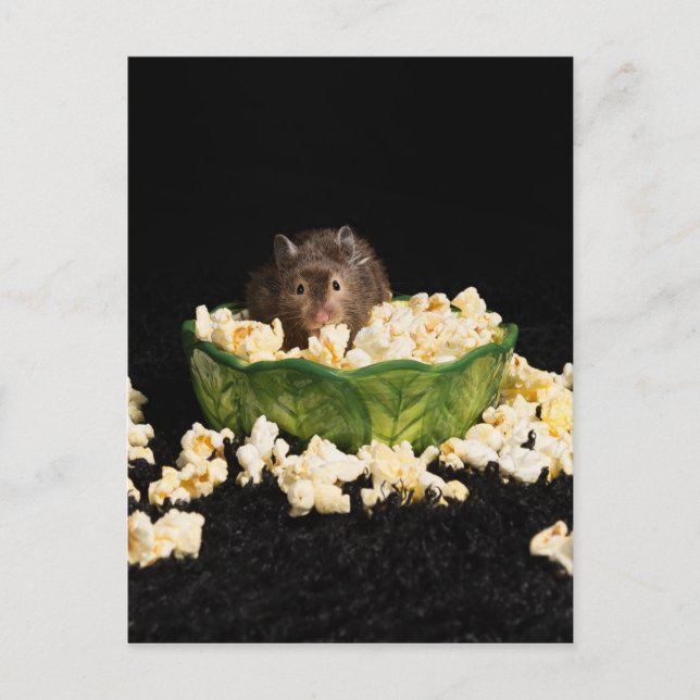 Popcorn älskare vykort (Framsida)