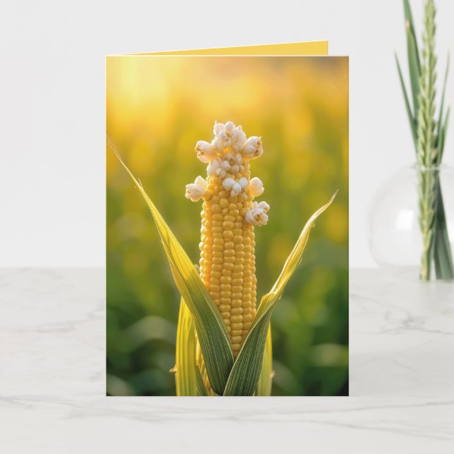 Popcorn Kort (Framsida)