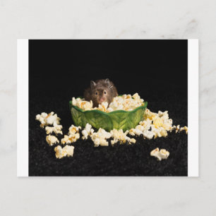 Popcornälskare Vykort