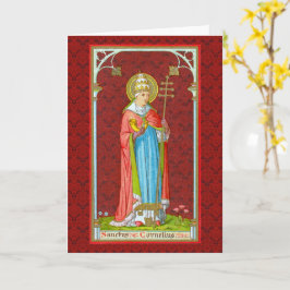 Pope St. Cornelius (SAU 042) Kort