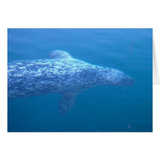 Popeye försegla hälsningskort