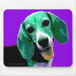 PopKONSTBeagle Musmatta