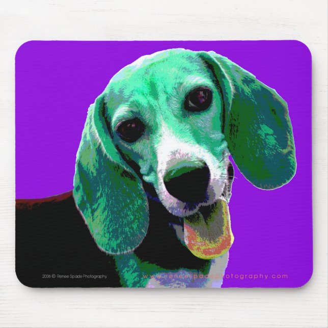 PopKONSTBeagle Musmatta (Framsidan)
