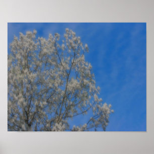 Poplar Träd Fluff Snö i juni Orton Nature Art Poster
