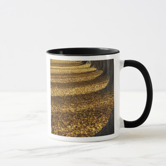 Poplar Träd under hösten, Sjö Wanaka, Otago Mugg (Höger)