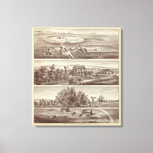 Poplarrancher Canvastryck (Framsida)