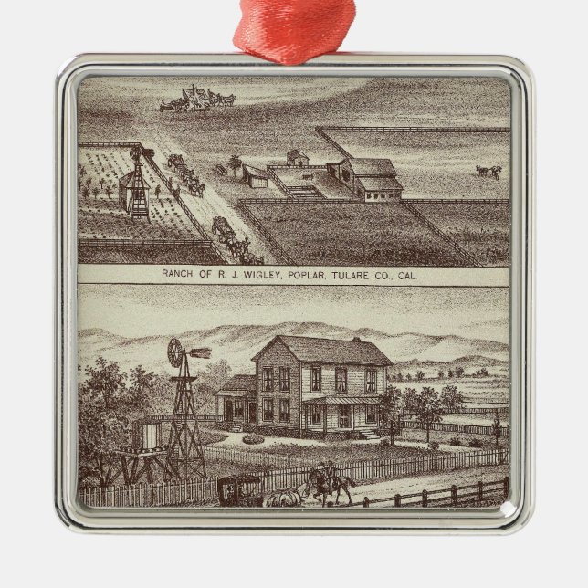 Poplarrancher Julgransprydnad Metall (Framsidan)