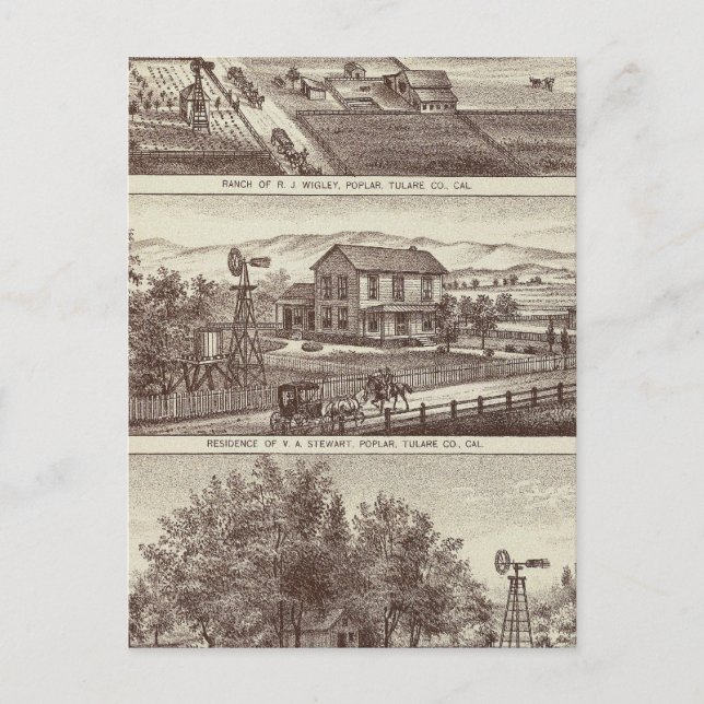 Poplarrancher Vykort (Framsida)