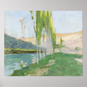 Poplars Growing nära ett vattendrag Poster