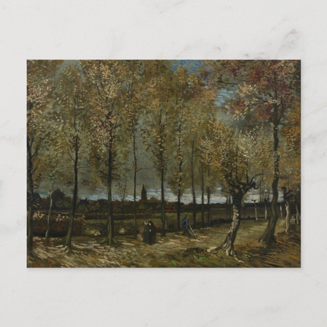 Poplars nära Nuenen av Vincent Van Gogh Vykort (Framsida)