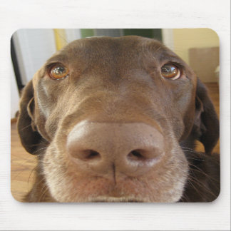 POPmousepad Musmatta