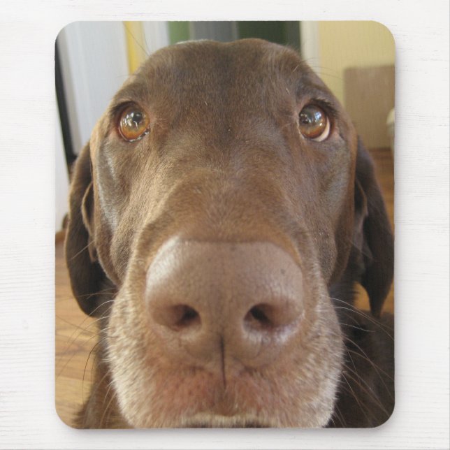 POPmousepad Musmatta (Framsidan)