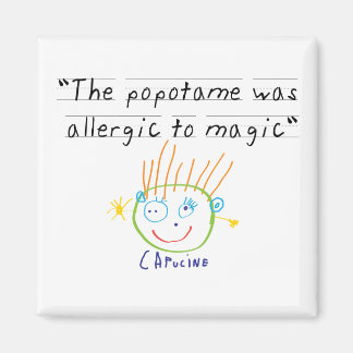 Popotammagnet Magnet