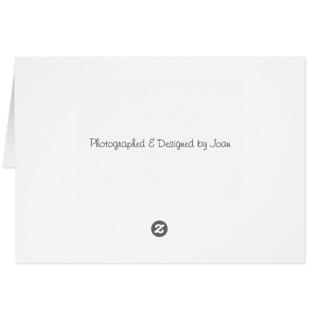 Poppel OBS Kort (Baksidan Horizontal)