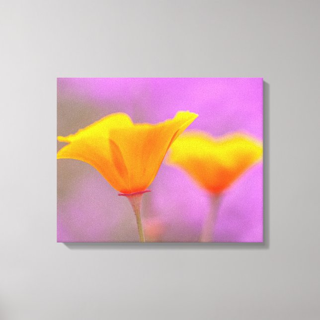 Poppies Canvastryck (Framsida)