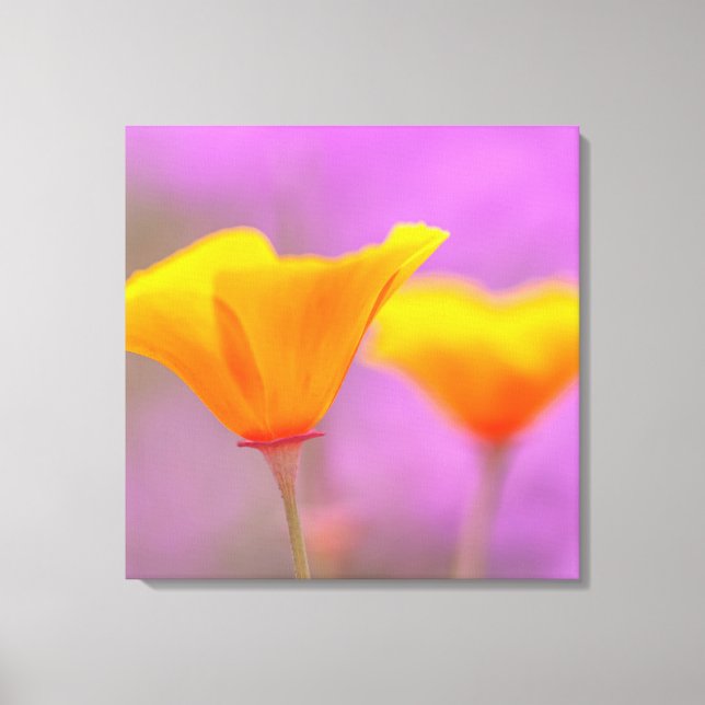 Poppies Canvastryck (Framsida)