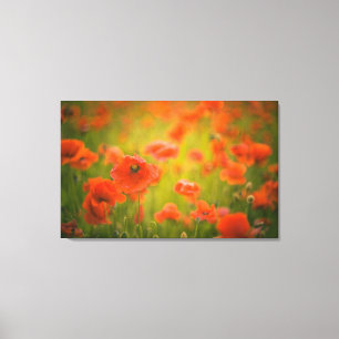 Poppies fält canvastryck
