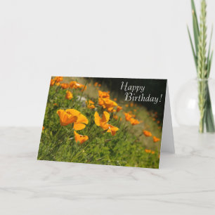 Poppies Grattis på födelsedagen Card Kort