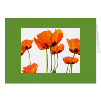 Poppies! Grönt Ram Hälsningskort