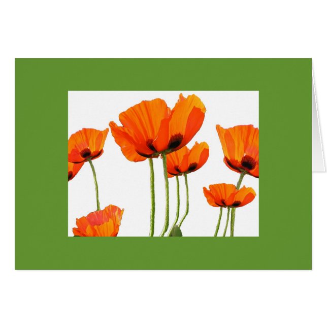 Poppies! Grönt Ram Hälsningskort (Framsidan Horizontal)