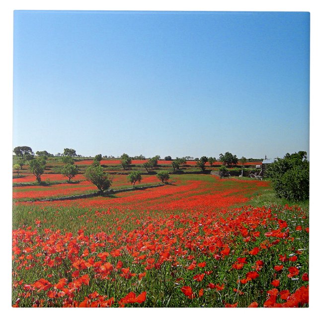 Poppies i Bloom Kakelplatta (Framsidan)