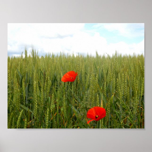 Poppies i ett Wheat Fält-värde Poster Pappra (Framsidan)