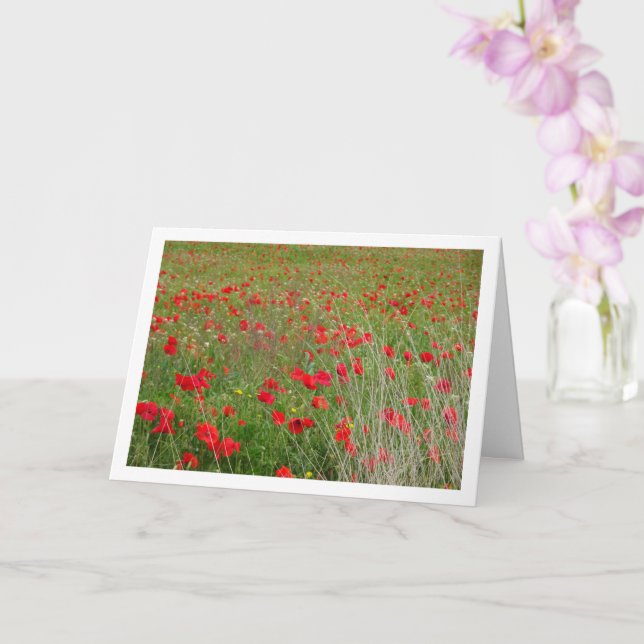 Poppies i Fält landskapskort Kort (Orkide)